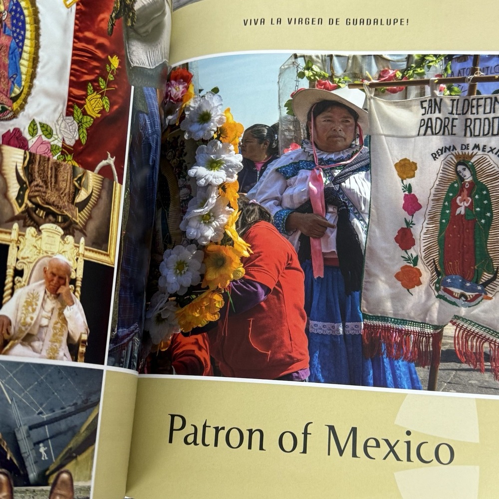 Guadalupe Mysteries: Deciphering the Code - Picture 7 of 8